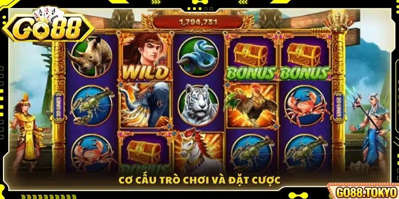 Hệ thống gameplay và cách đặt cược 